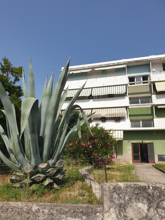 Apartment Maeistro By Privileggio Residence Rovinj Exterior photo
